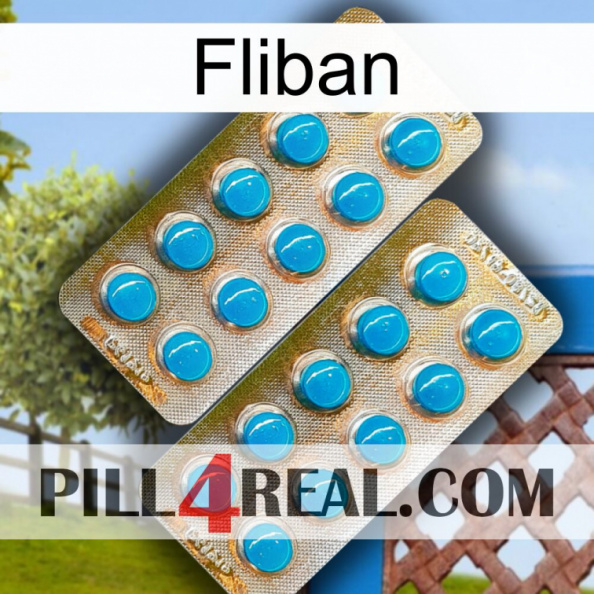 Fliban new08.jpg